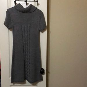 Turtle Neck Sweater Dress